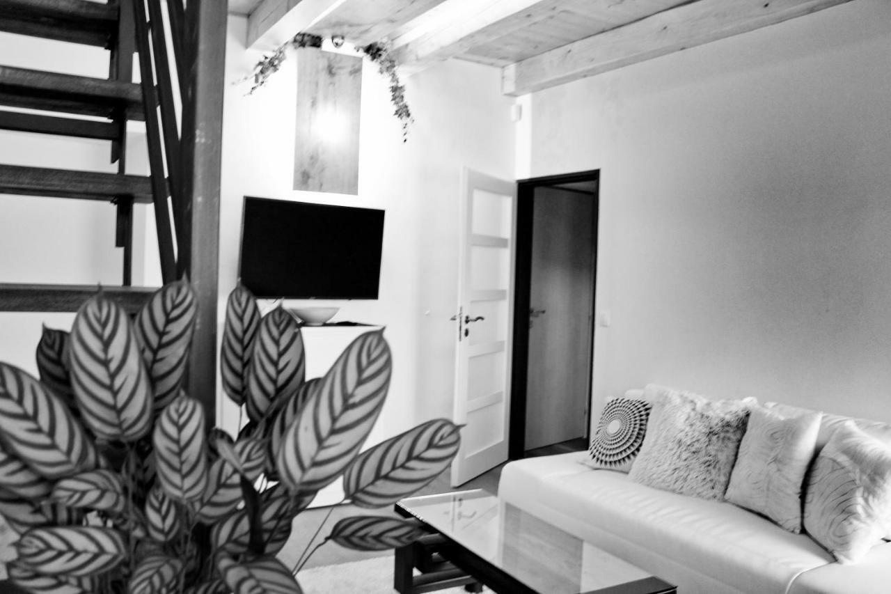 Apartmany Ztracena Roudnice nad Labem Extérieur photo